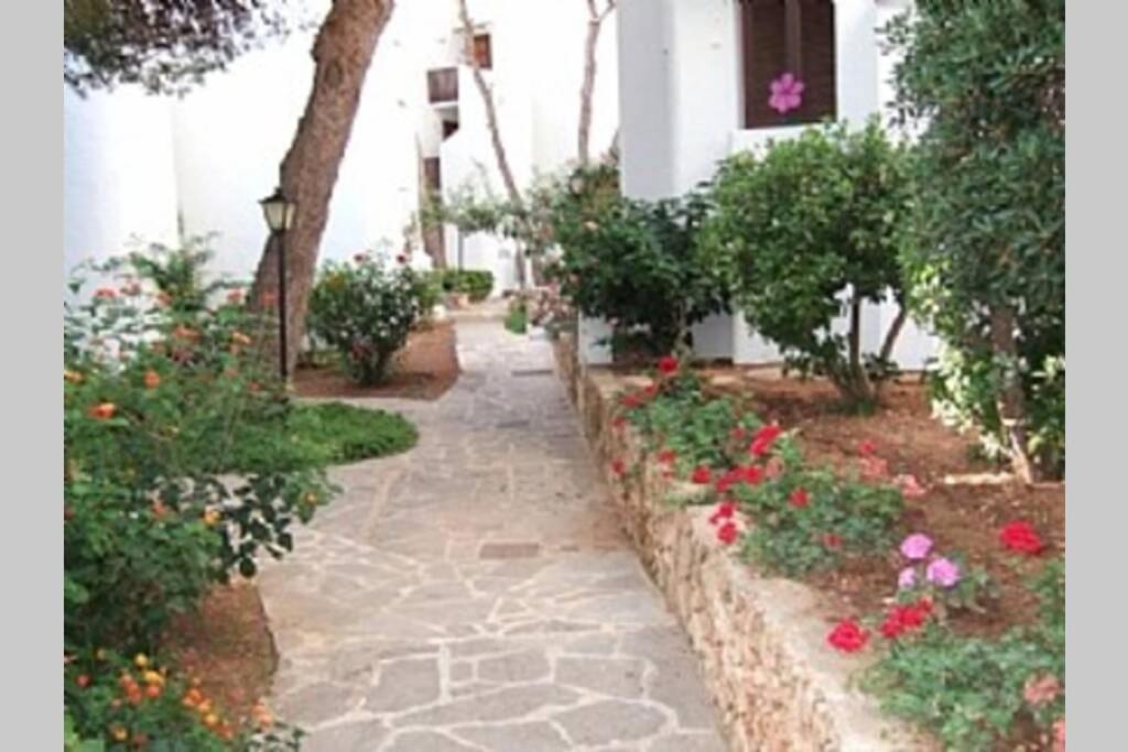 Sea Frontline Apartment 'Ernesto'. Pool. Wifi Santanyi Bagian luar foto