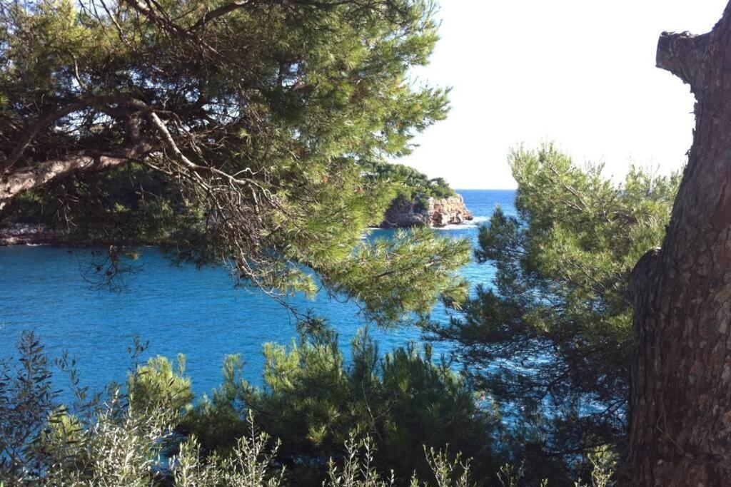 Sea Frontline Apartment 'Ernesto'. Pool. Wifi Santanyi Bagian luar foto